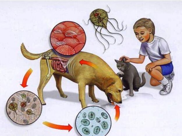 ways to infect a child with parasites