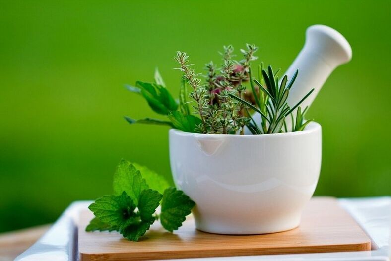 herbs for worm treatment