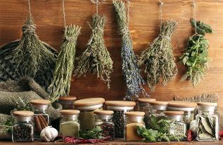 herbs against parasites